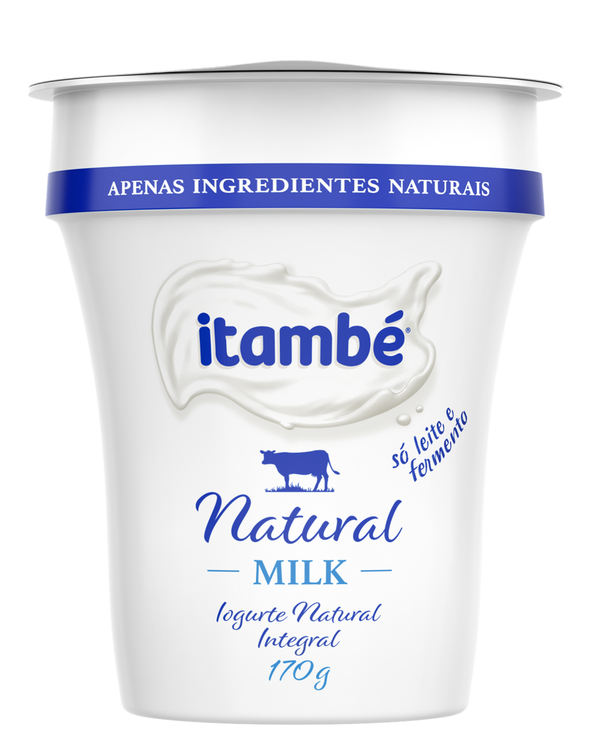 Iogurte Natural 170g